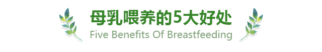 母乳喂养的五大好处