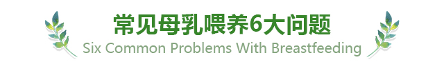 常见母乳喂养六大问题