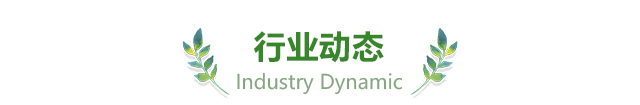 行业动态