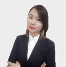 徐诺资深猎嫂顾问