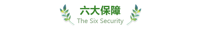 六大保障